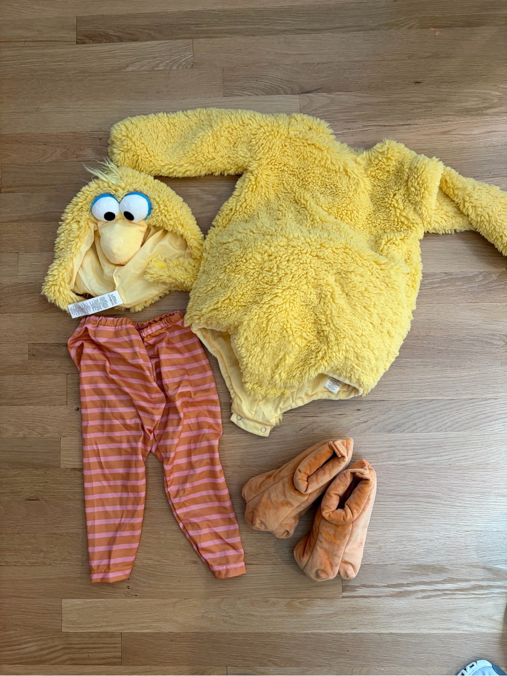 Pottery Barn Kids Big Bird Costume